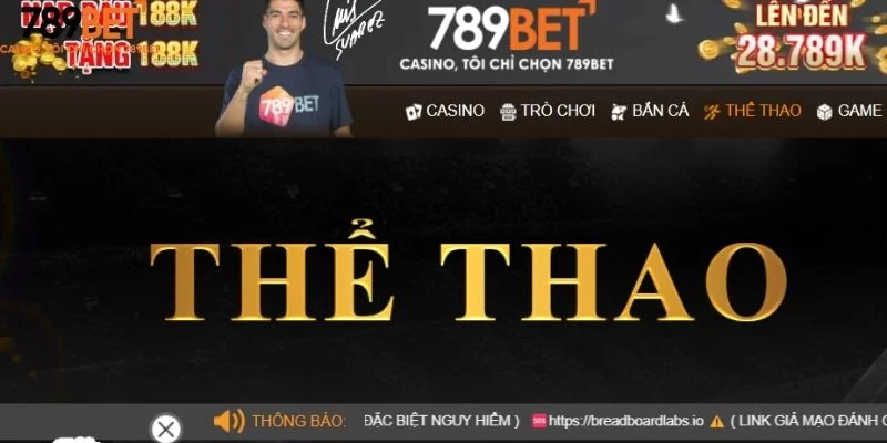 Saba Sports – Kênh kiếm tiền trực tuyến hàng đầu tại Châu Á